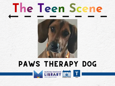 The Teen Scene PAWS Therapy Dog