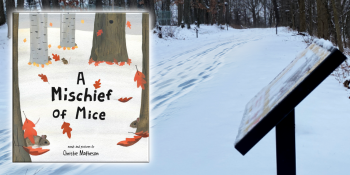 JANUARY: A Mischief of Mice by Christie Matheson