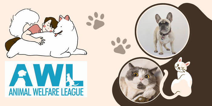 Pet Food and Toy Drive