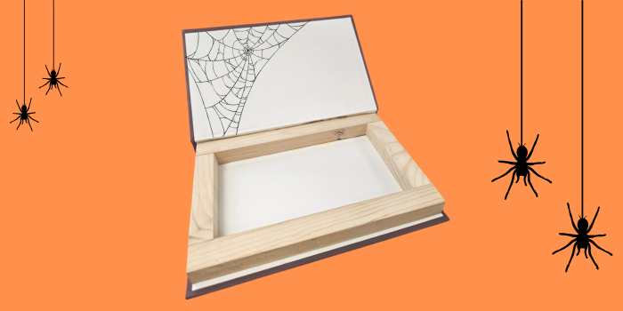 Spiders crawling down webs on both sides of an open book with a hidden chamber.